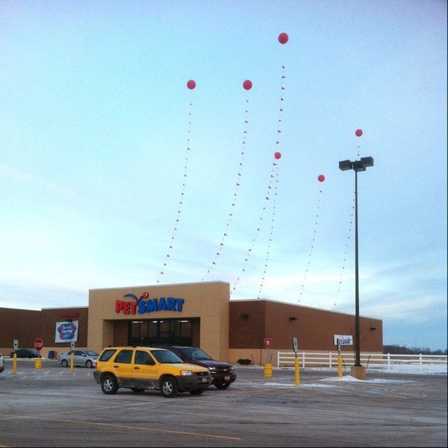 PetSmart+II-640w